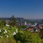 Sommerfruhling über Jena 