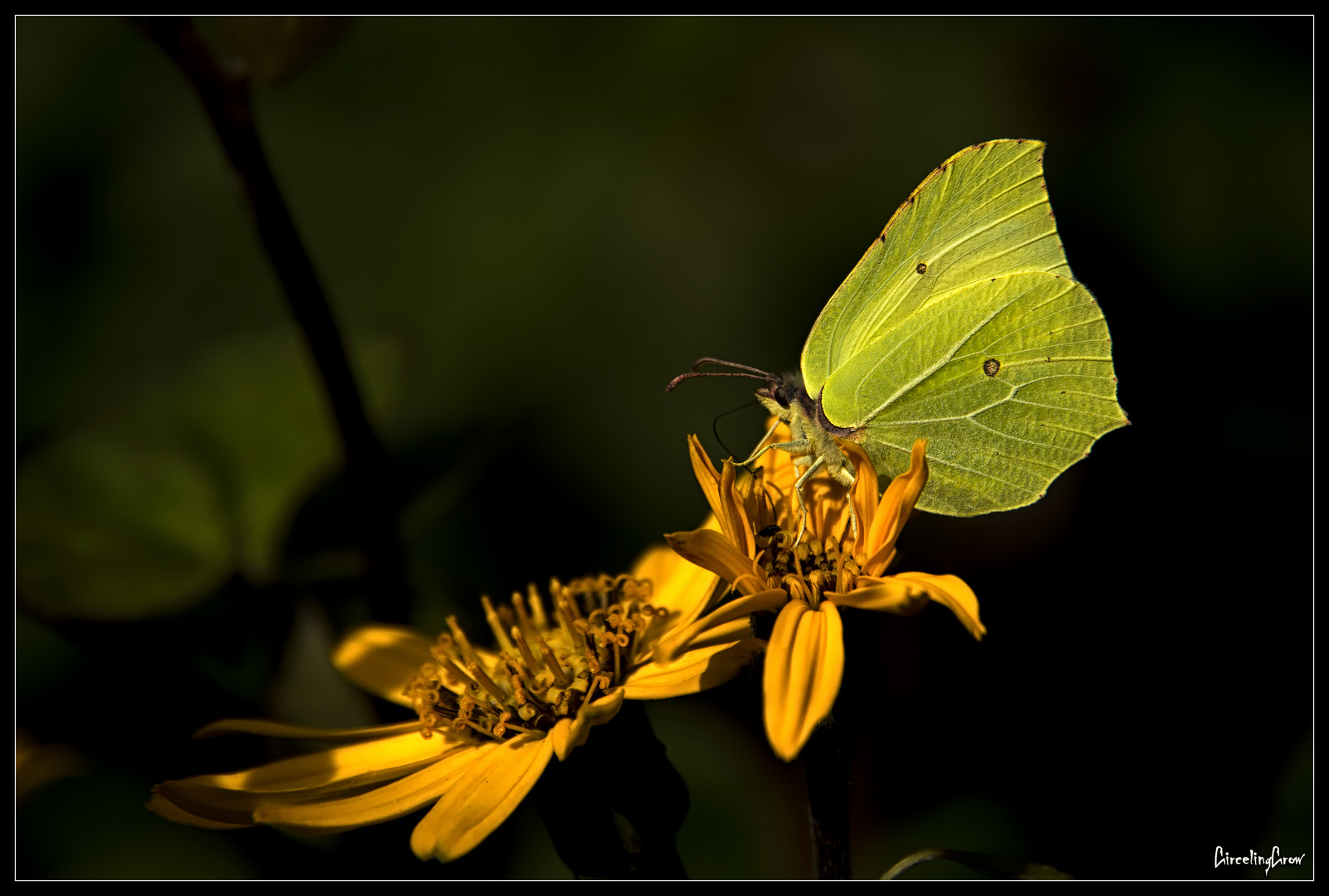 Sommergarten