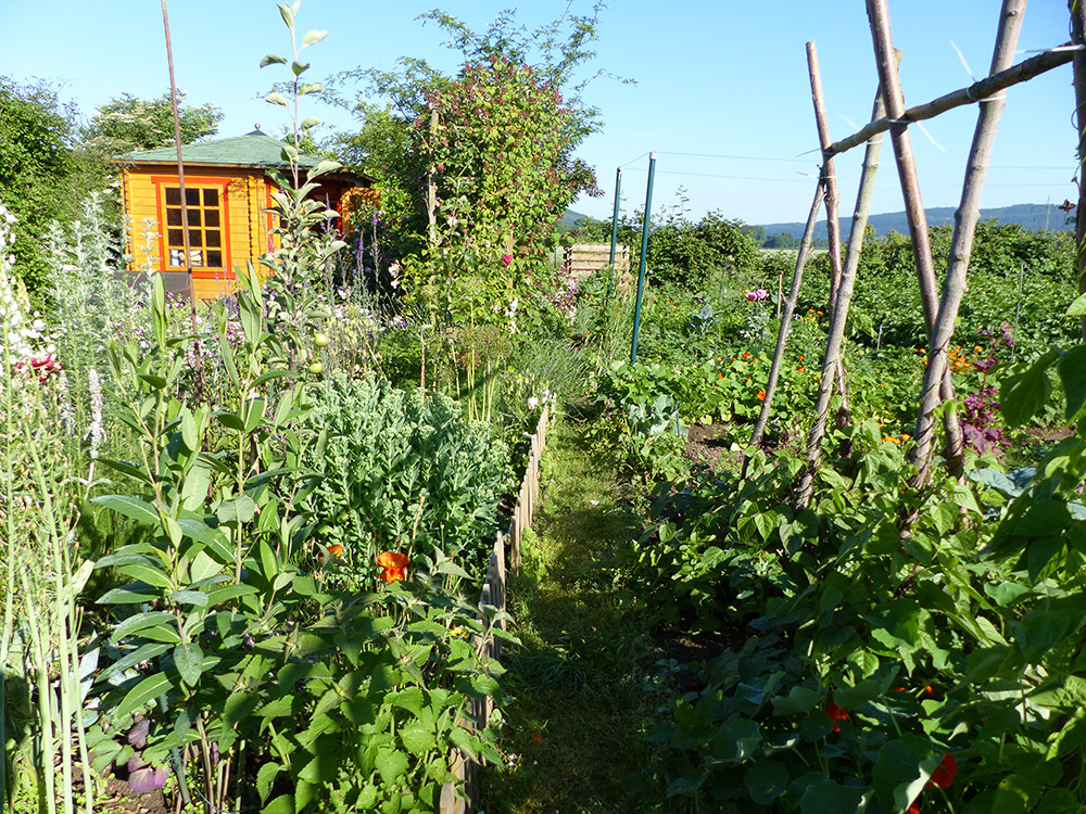 Sommergarten