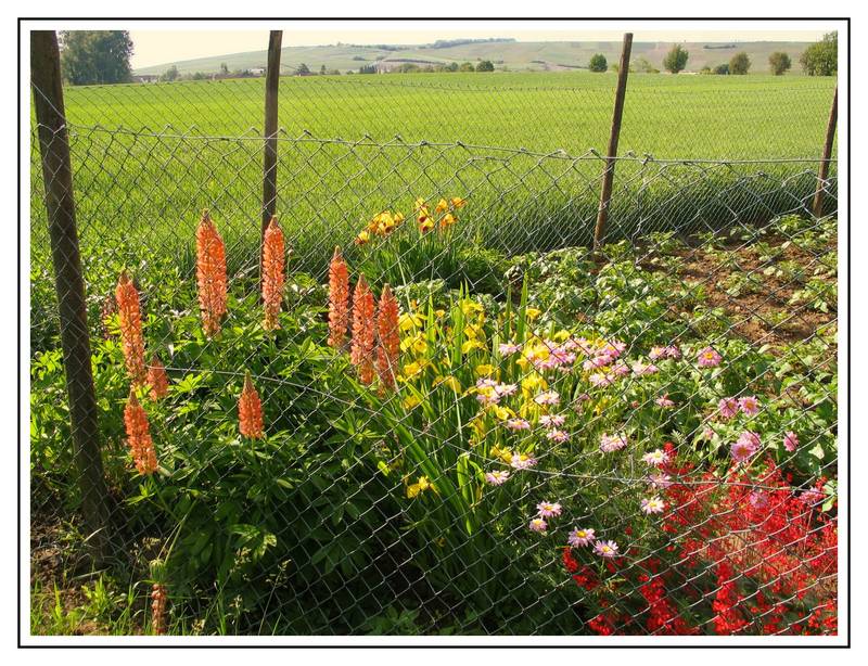 Sommergarten