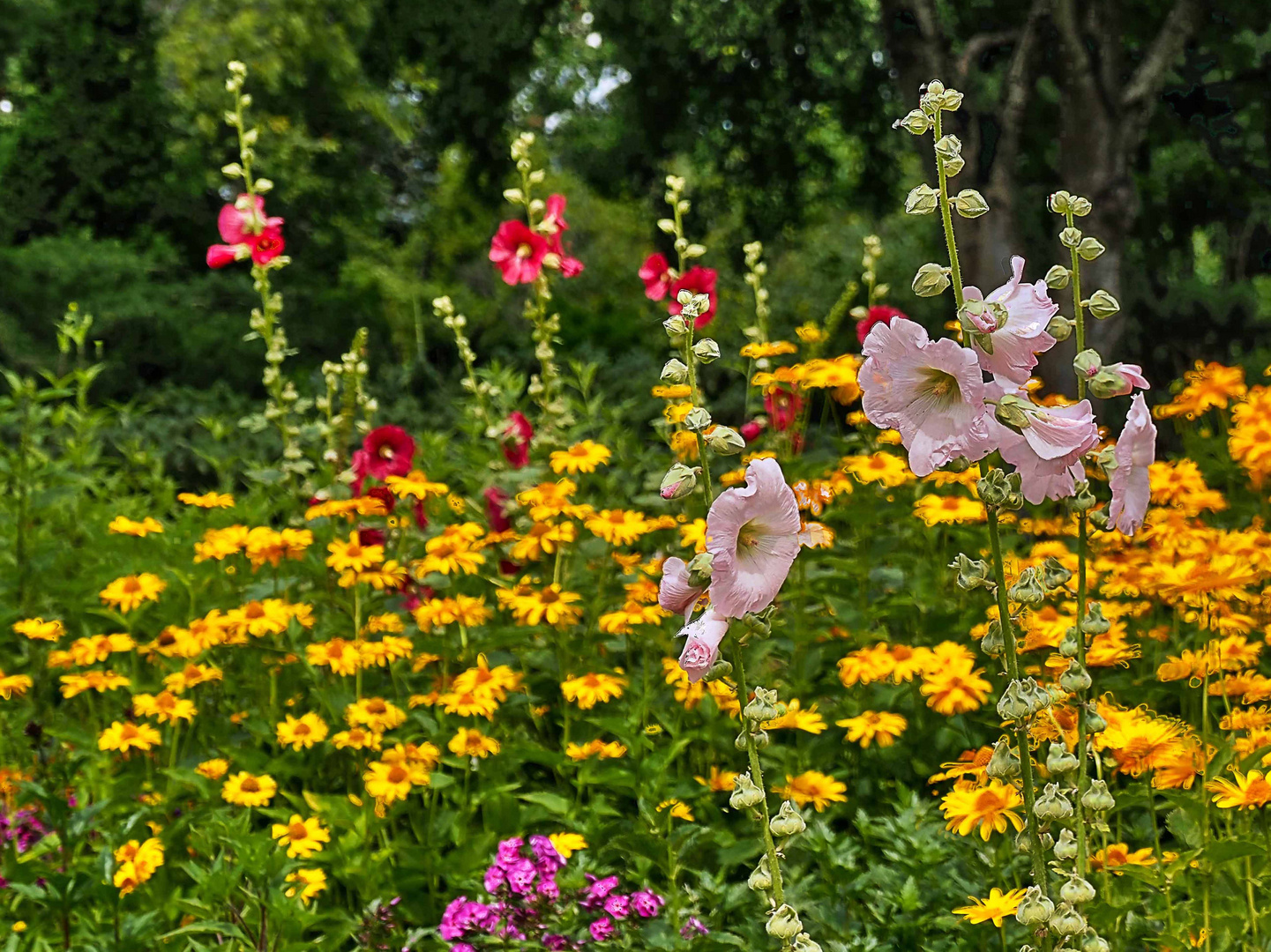 Sommergarten