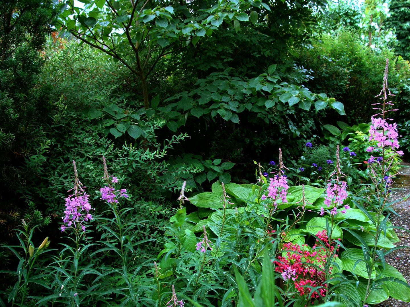 Sommergarten