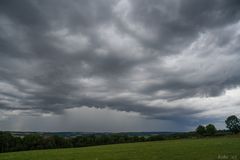 Sommergebräu