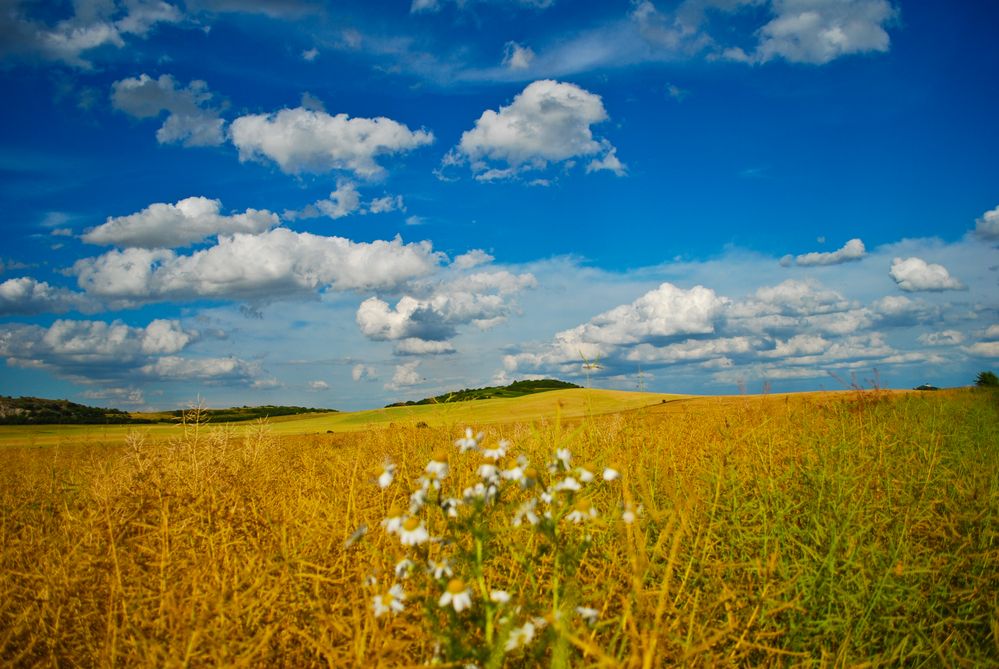 Sommergefühl