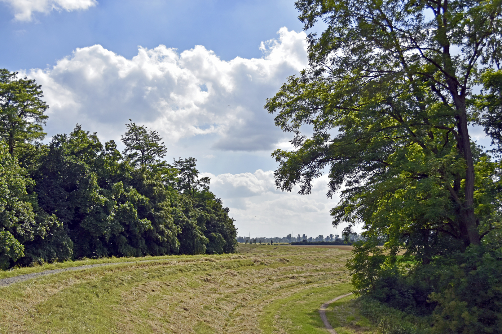 sommergefühl