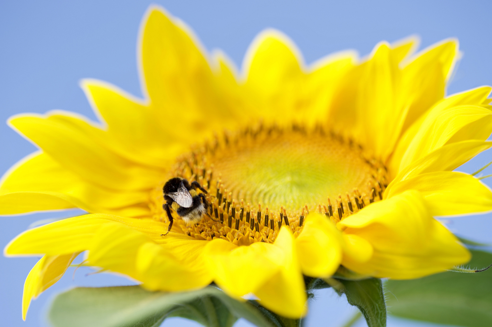 Sommergefühl