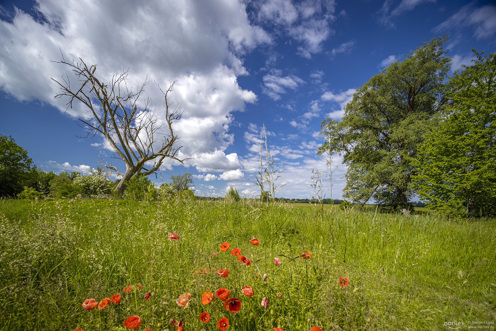 Sommergefühle