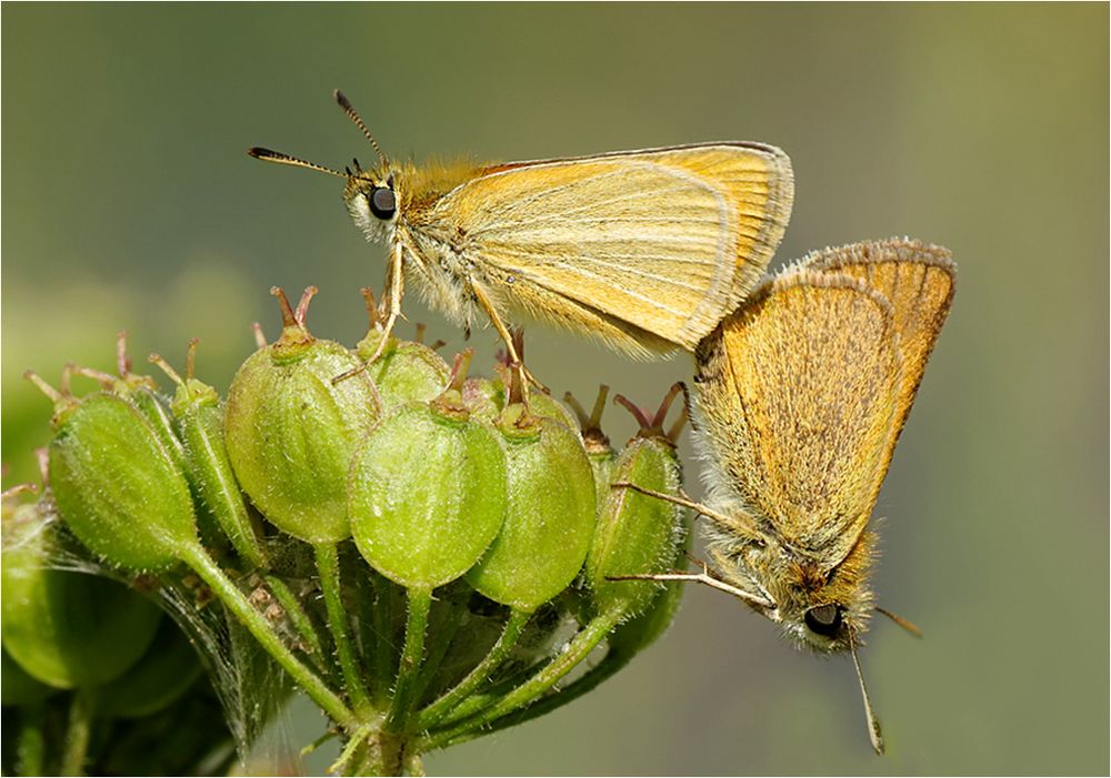  Sommergefühle