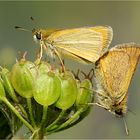  Sommergefühle