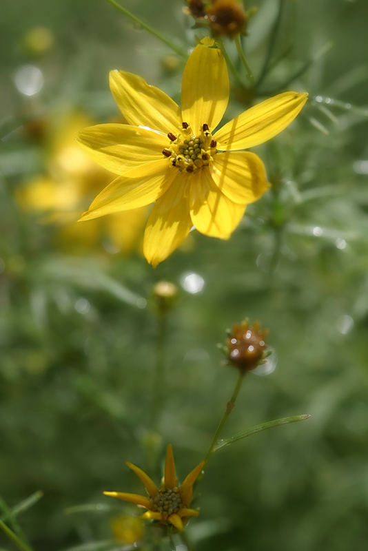 Sommergefühle