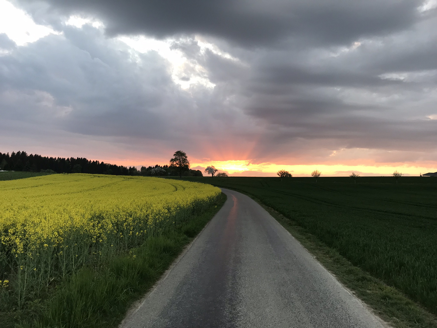 Sommergewitter