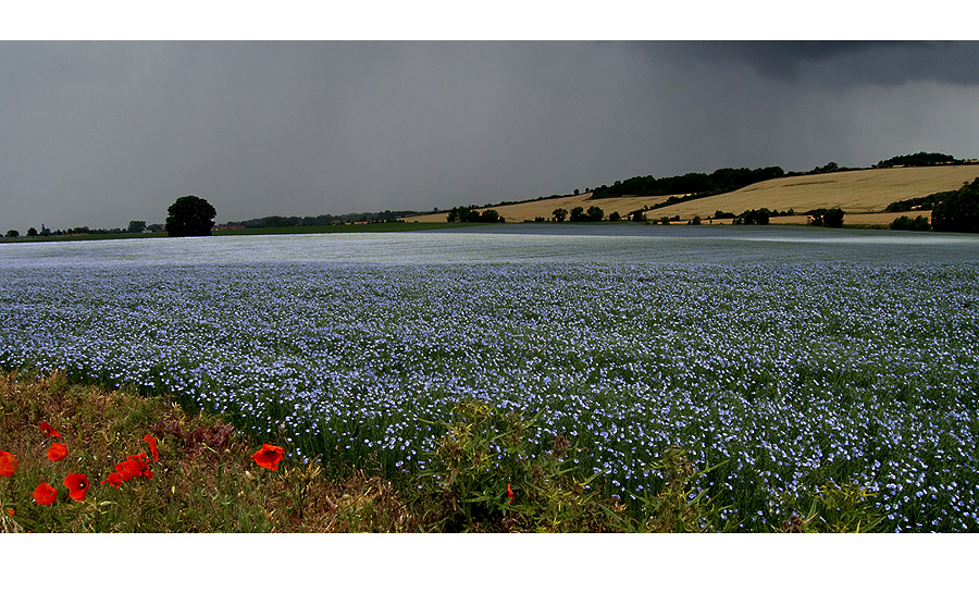 Sommergewitter