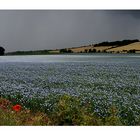 Sommergewitter