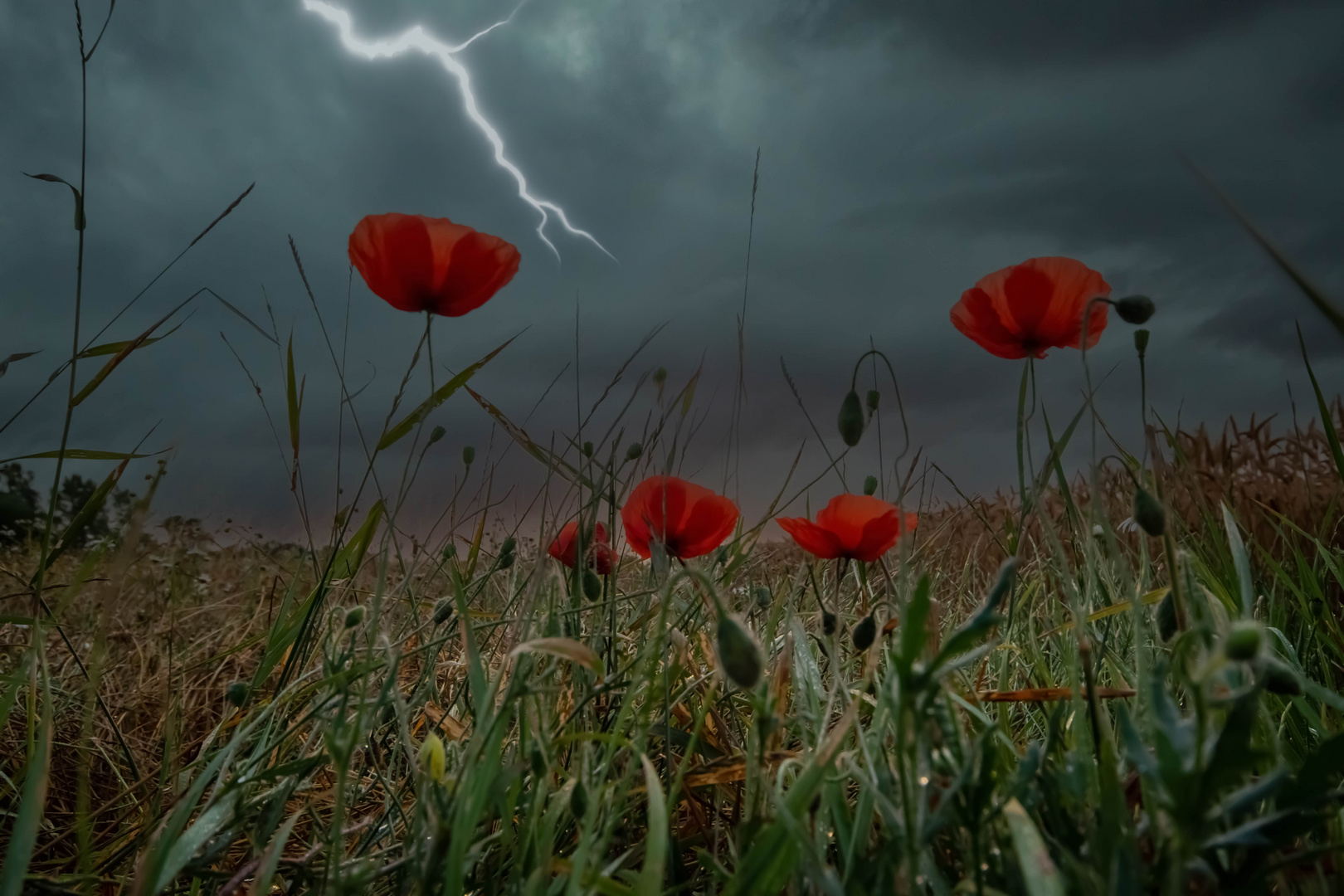 Sommergewitter