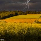 Sommergewitter