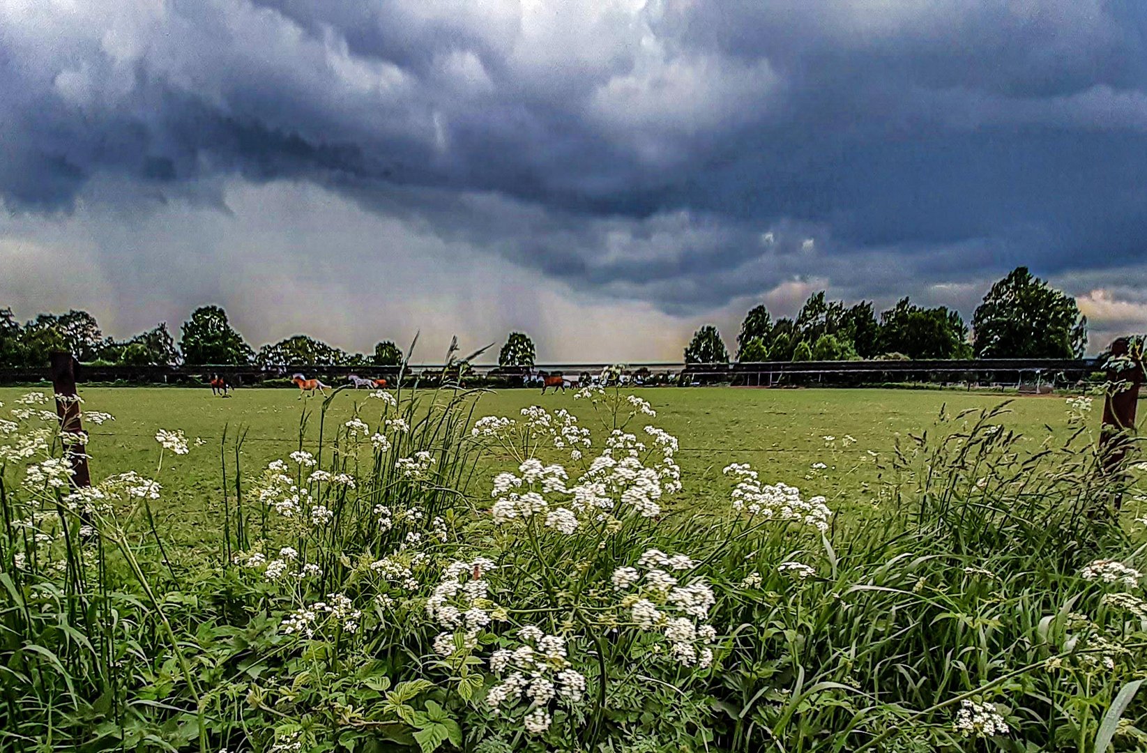 sommergewitter