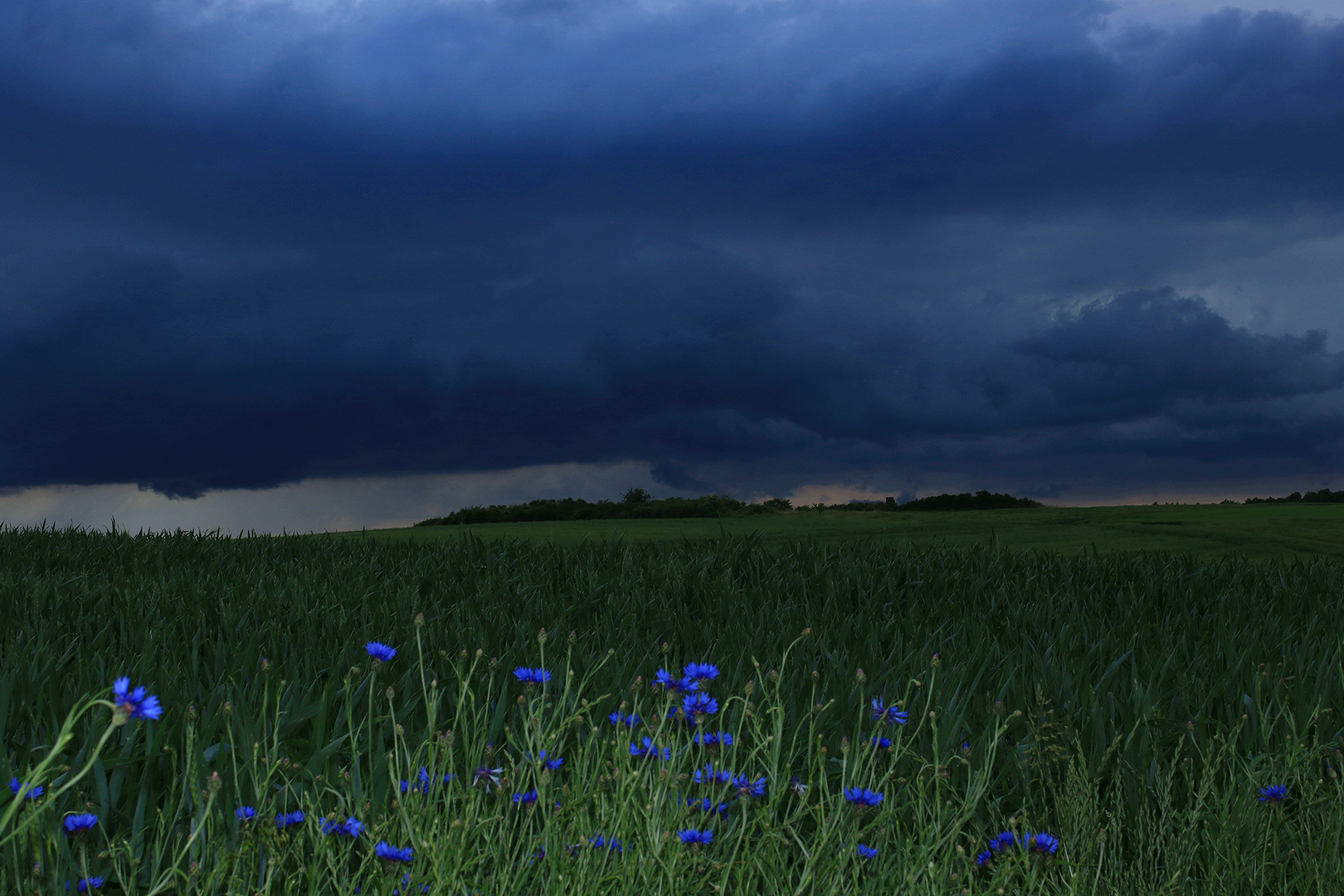 Sommergewitter im Anmarsch