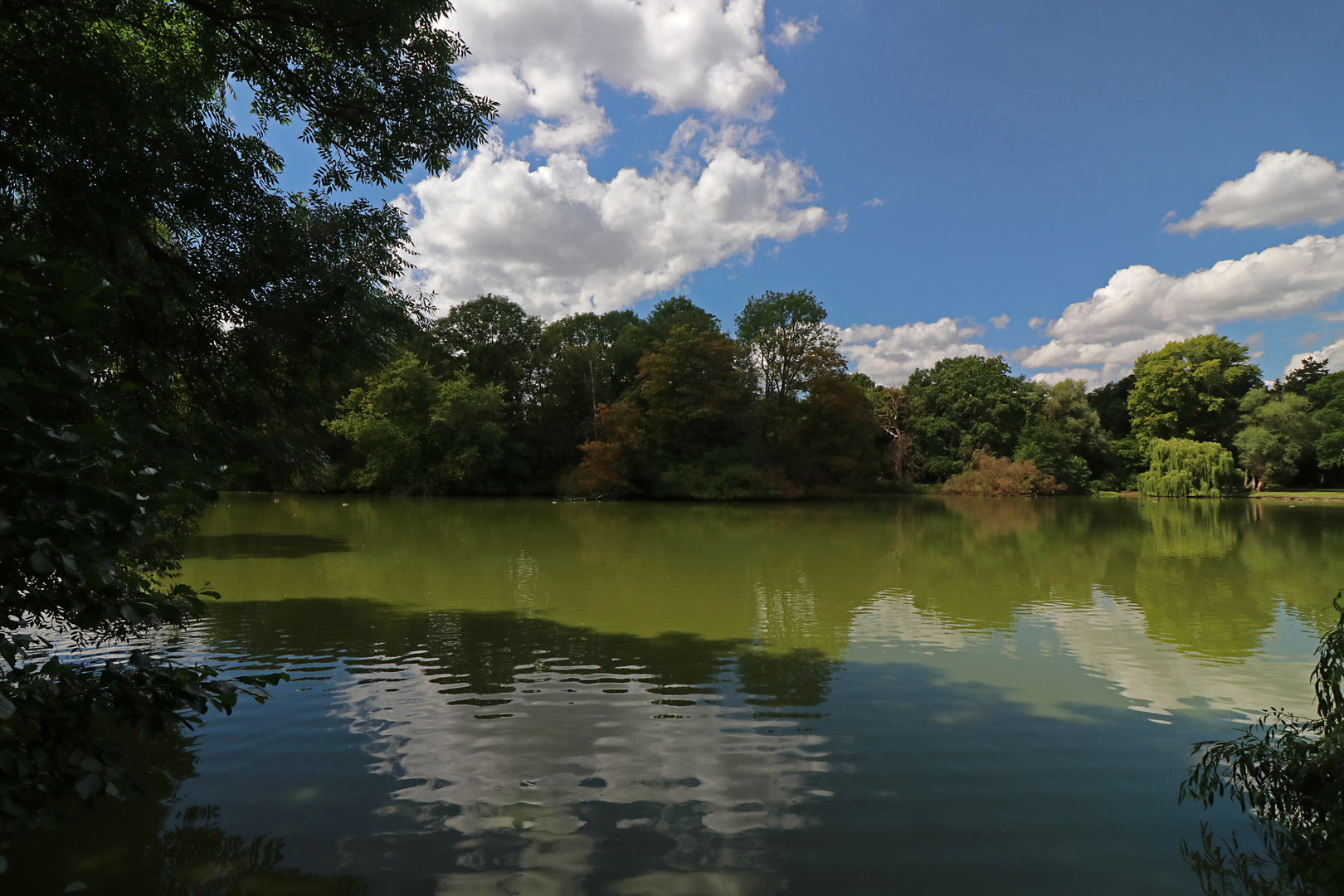 Sommergewölk überm Südteich