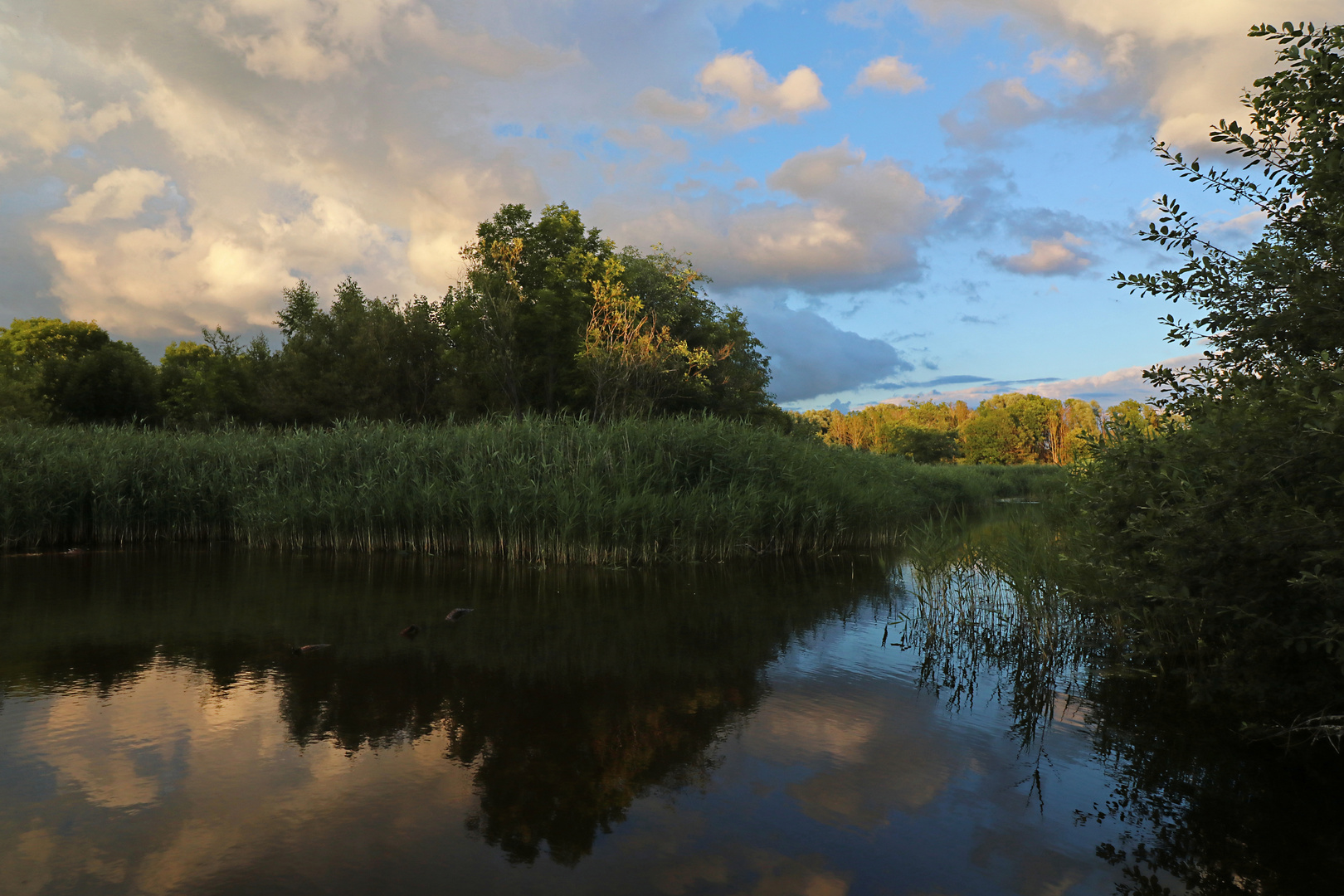 Sommergewölk überm Westpark