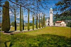 Sommergruss aus dem Tessin