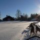 Sommerhuser in Lappland