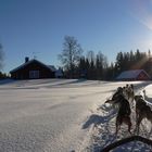 Sommerhäuser in Lappland