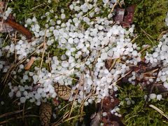 Sommerhagel