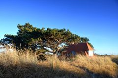 Sommerhaus Hiddensee im Winterschlaf 
