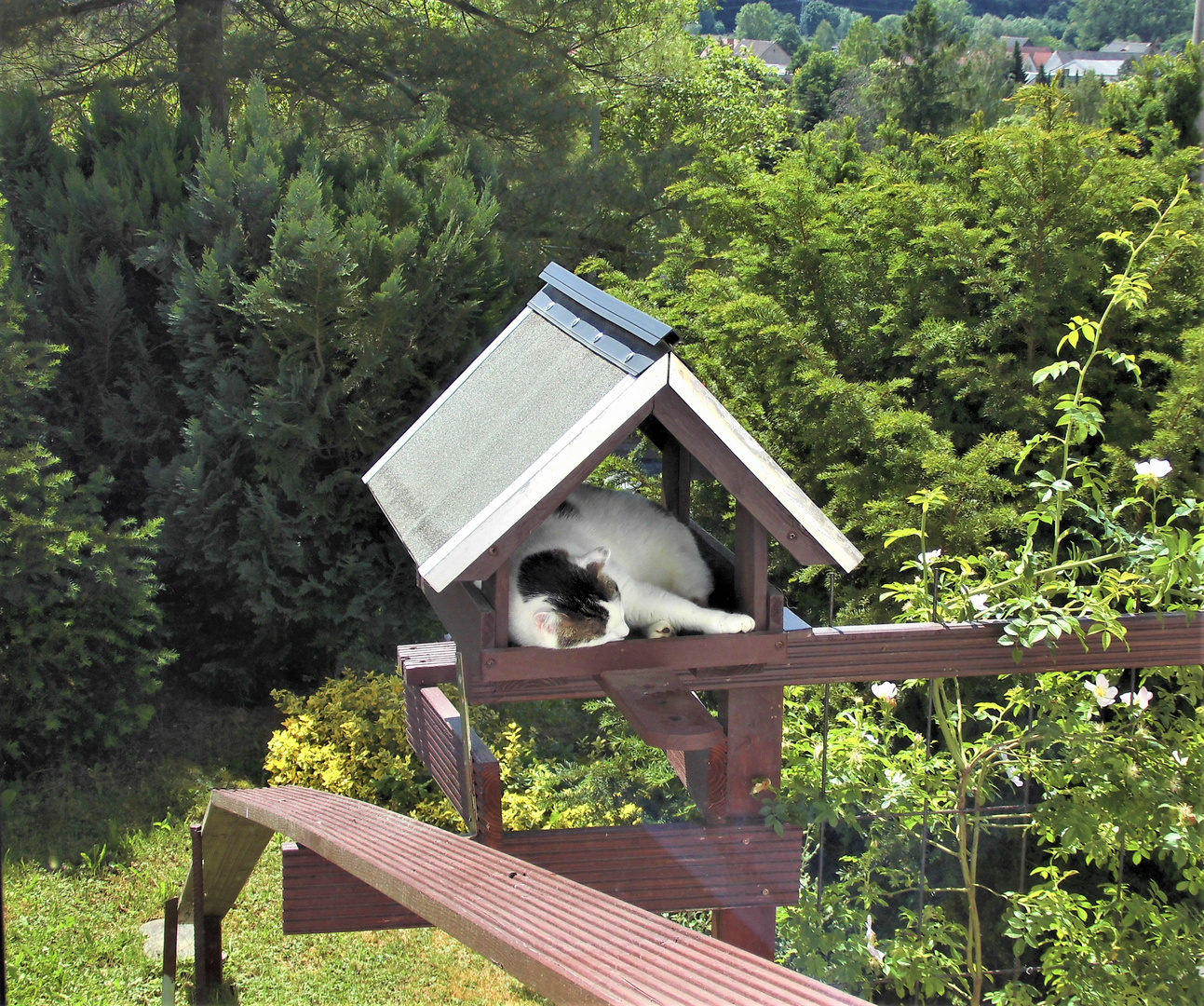 Sommerhaus mit Ausblick