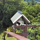 Sommerhaus mit Ausblick