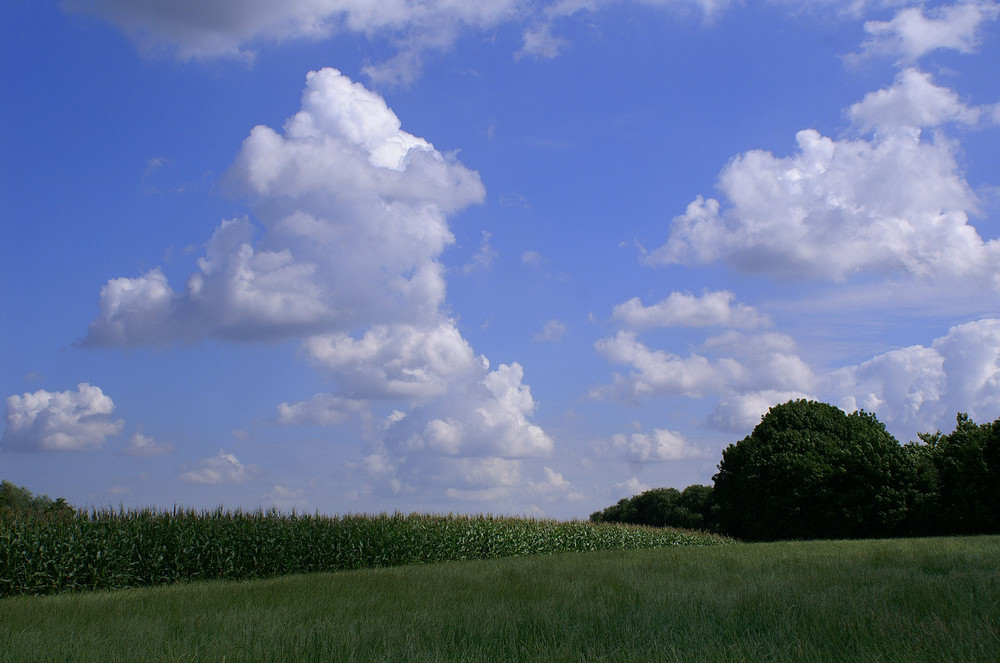 Sommerhimmel 2008