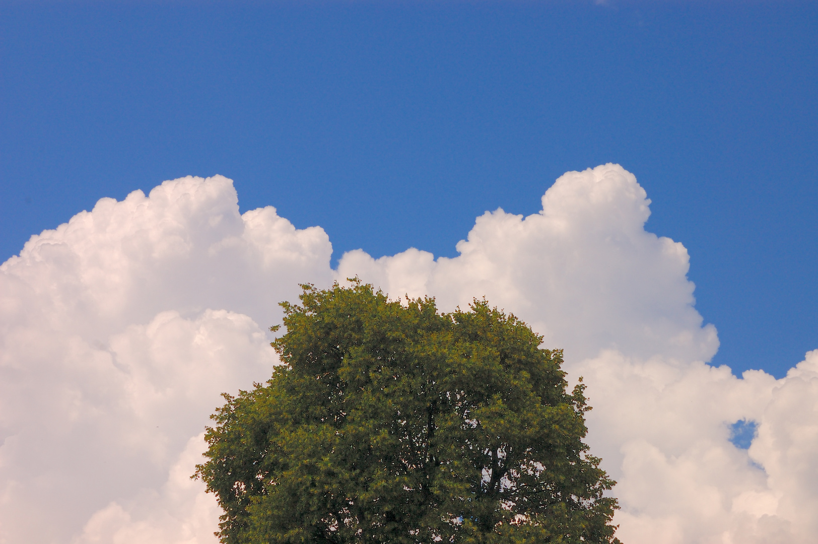 Sommerhimmel