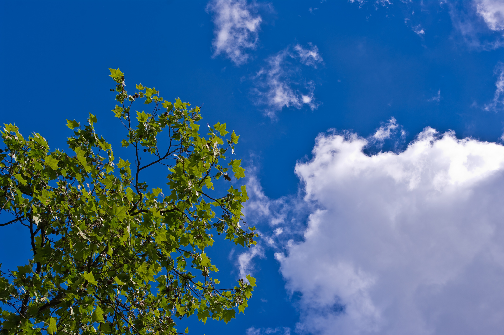 Sommerhimmel