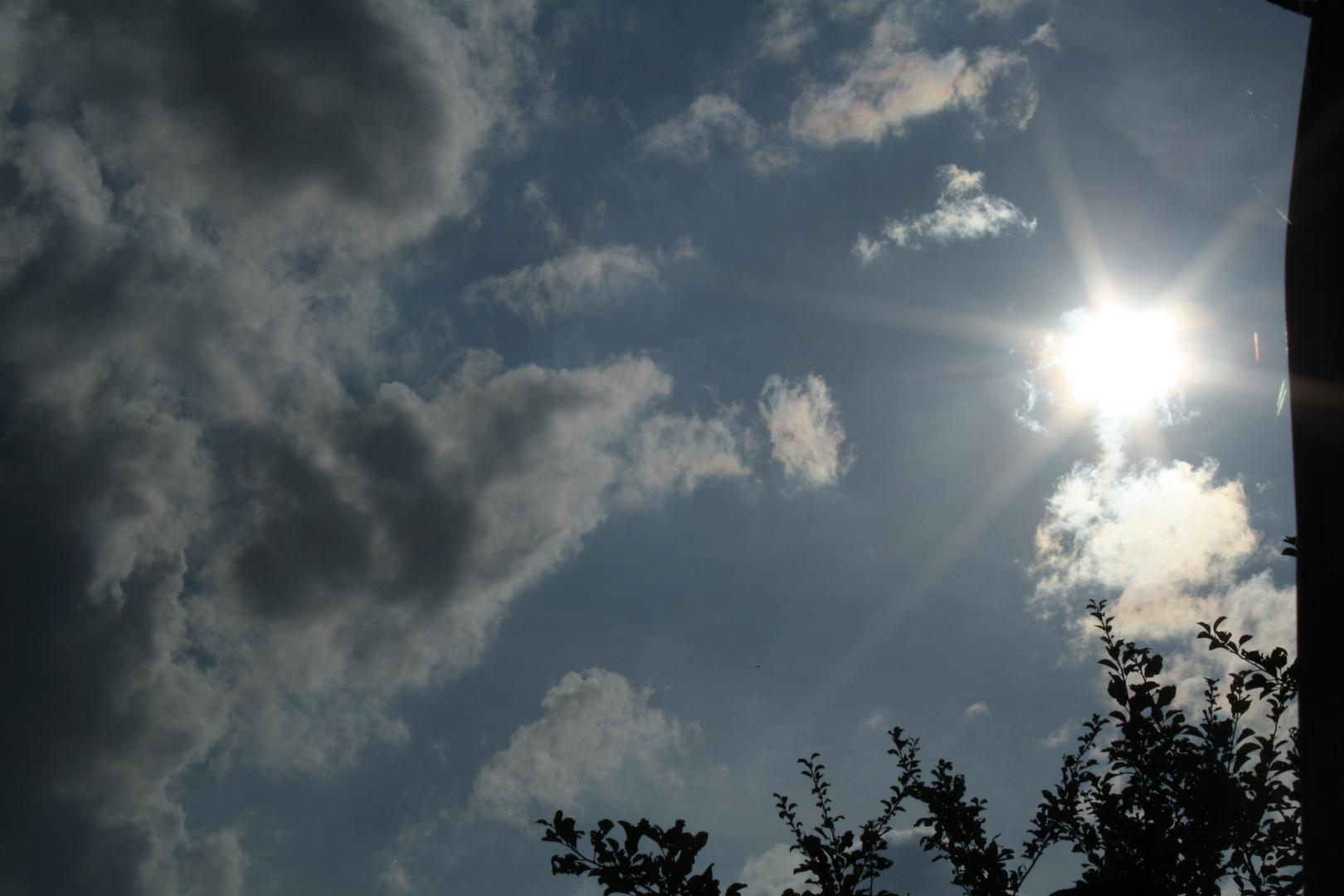 Sommerhimmel im Garten