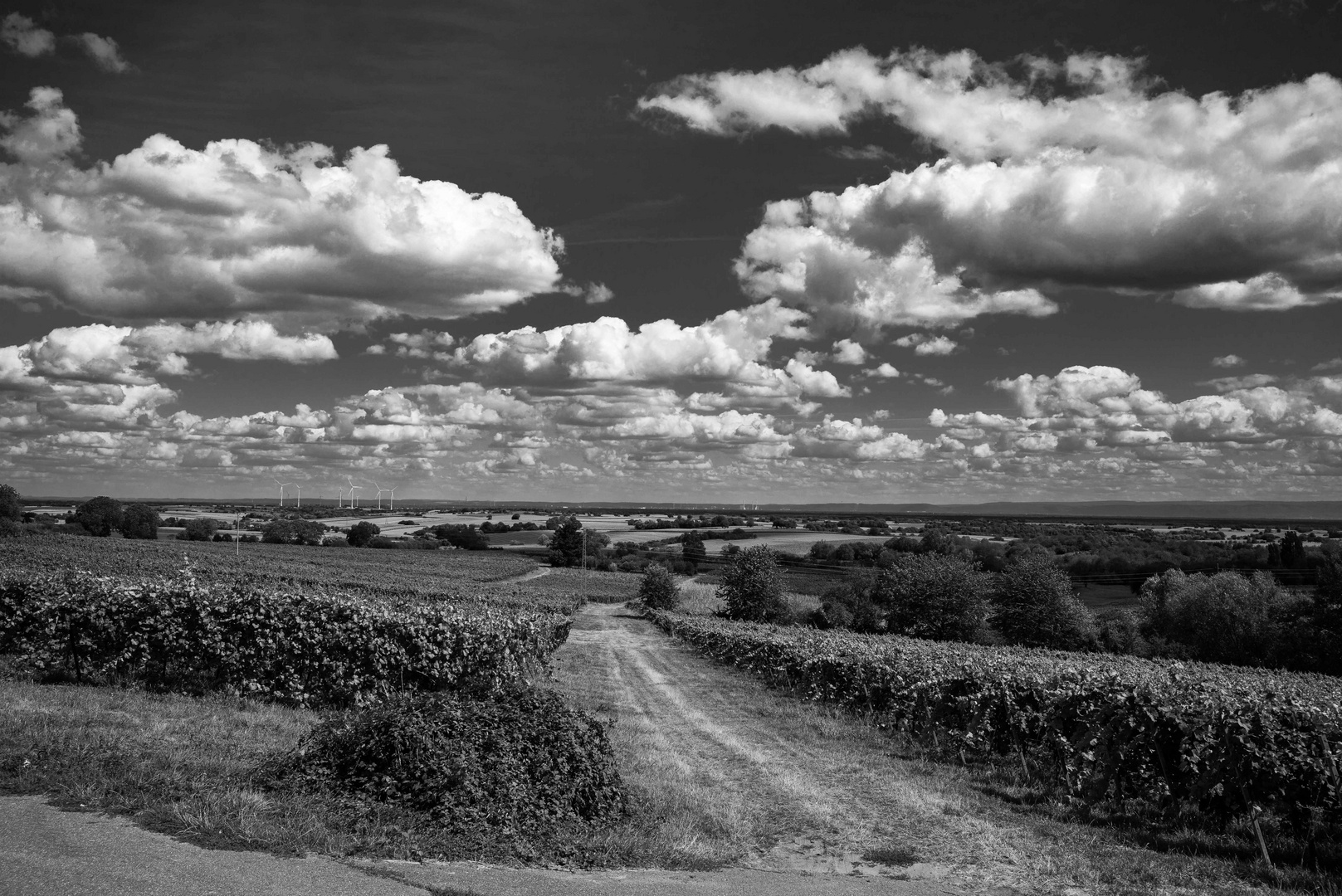 Sommerhimmel über dem Oberrhein