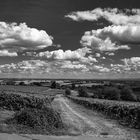 Sommerhimmel über dem Oberrhein