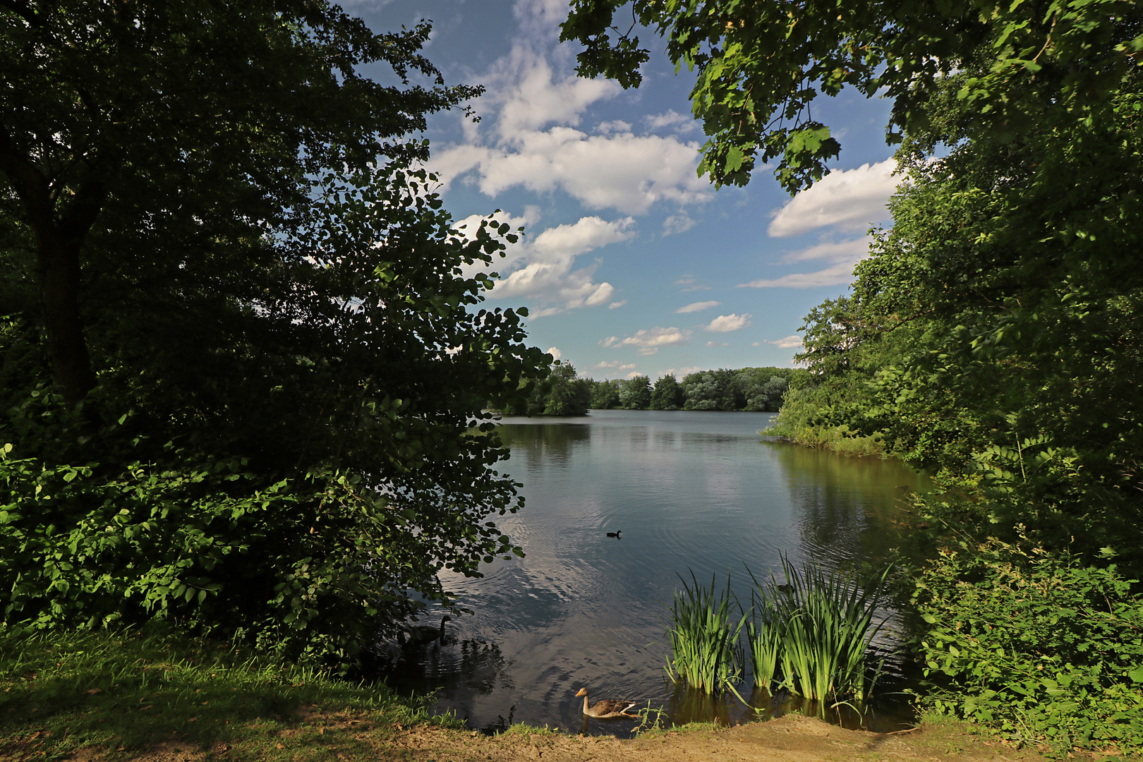 Sommerhimmel überm Fischteich