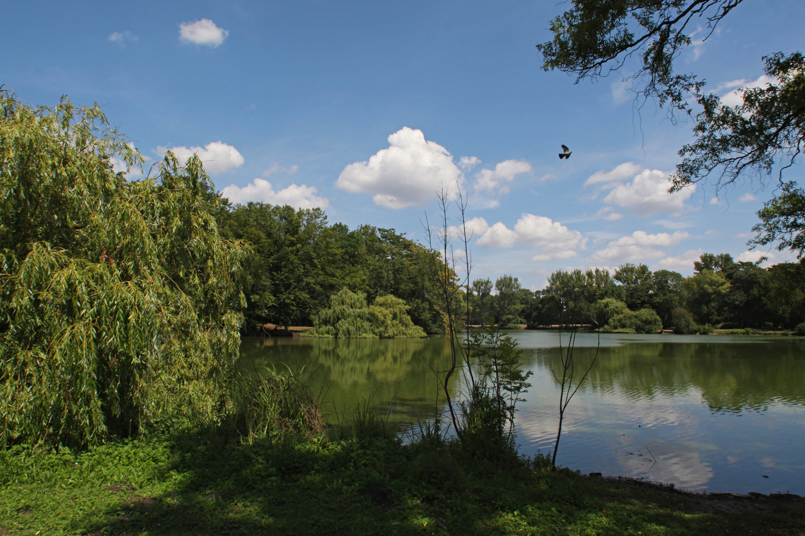 Sommerhimmel überm Südteich