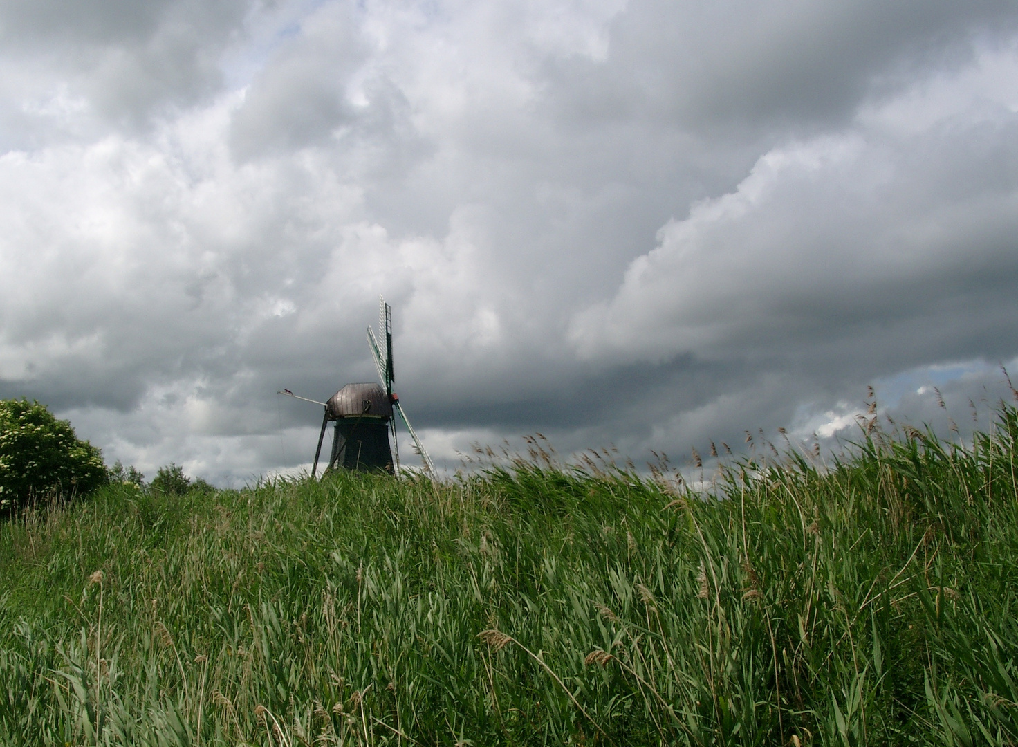 Sommerhimmel und Windmühle in Ostfriesland