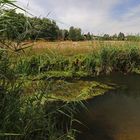 Sommerhitze am Fluss