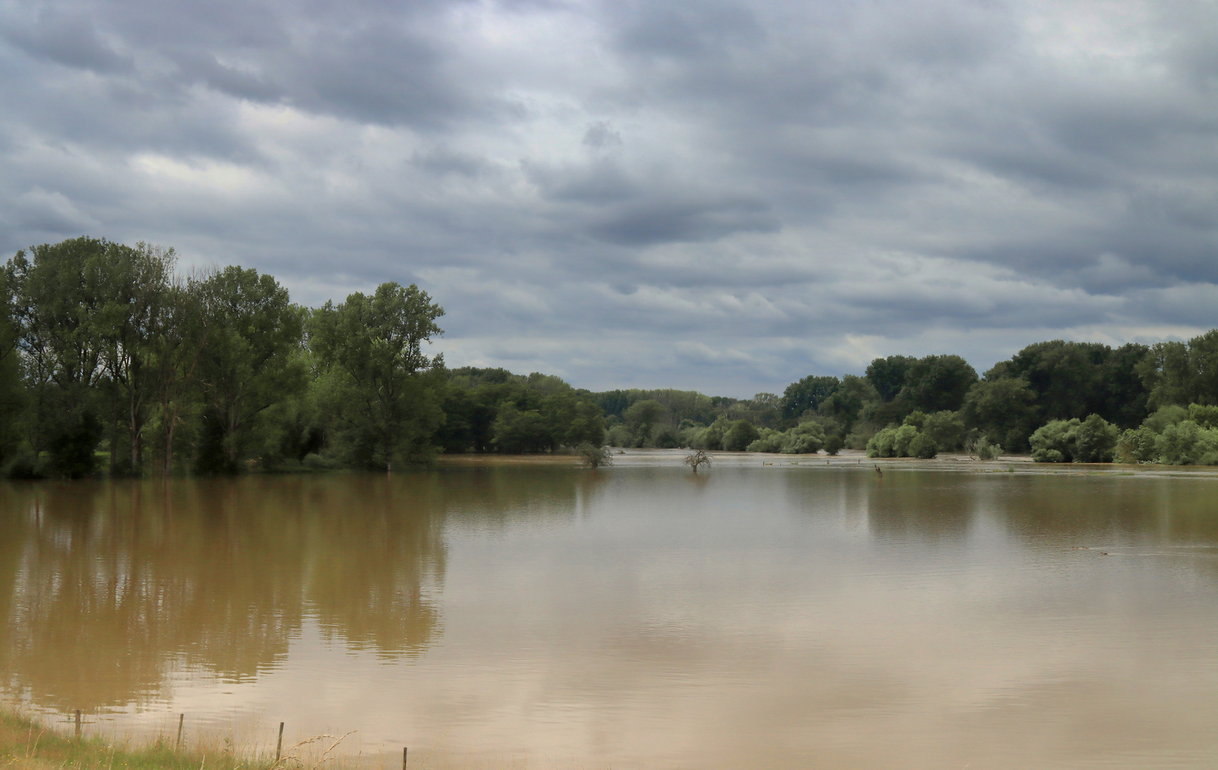 Sommerhochwasser an der Sieg