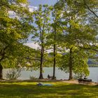 Sommeridylle am Kochelsee