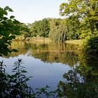 Sommeridylle im Großen Garten inmitten von Dresden