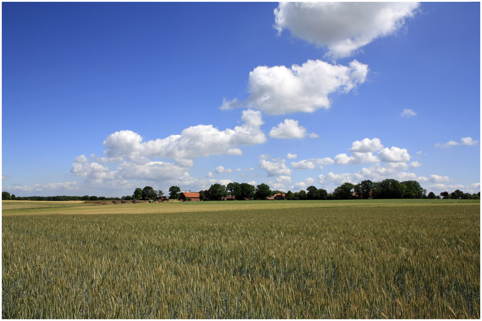 Sommerimpression 2010