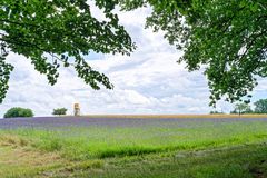 Sommerimpressionen auf dem Stennweiler Flur (Saarland)