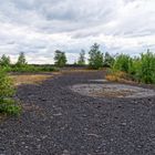 Sommerimpressionen auf der Halde Lydia Camphausen (Saarland)  (2)