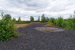 Sommerimpressionen auf der Halde Lydia Camphausen (Saarland)  (2)