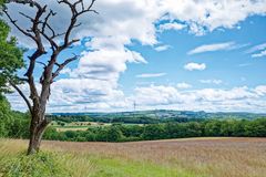 Sommerimpressionen entlang des Schauinslandpfades/Saarland