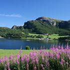 Sommerimpressionen Norwegen 2016