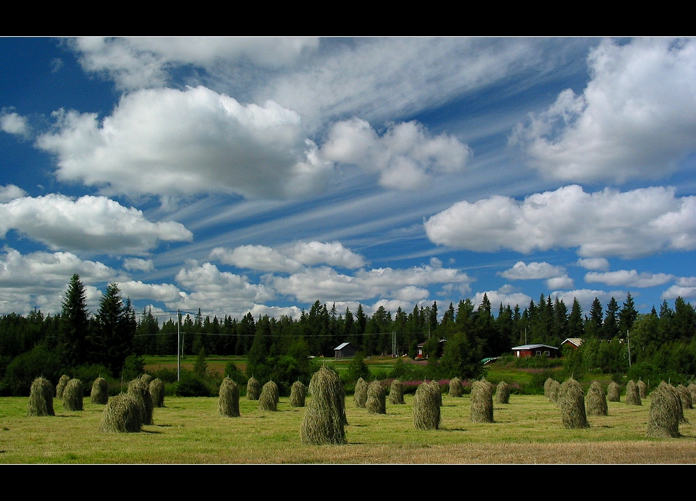 Sommer_in_der_Region_Kuusamo